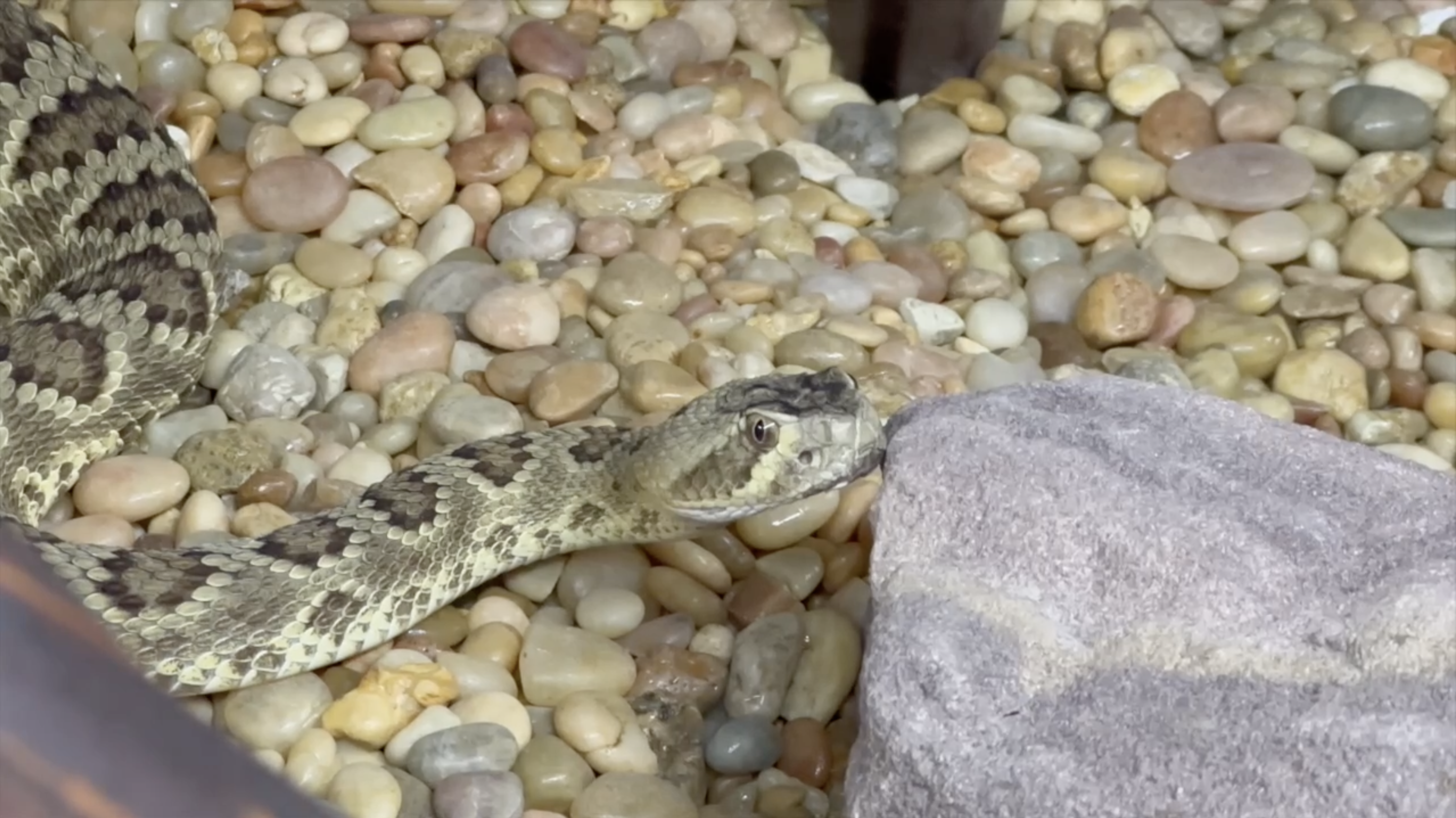 Screenshot 2025-04-14 at 5.51.24 AM.png