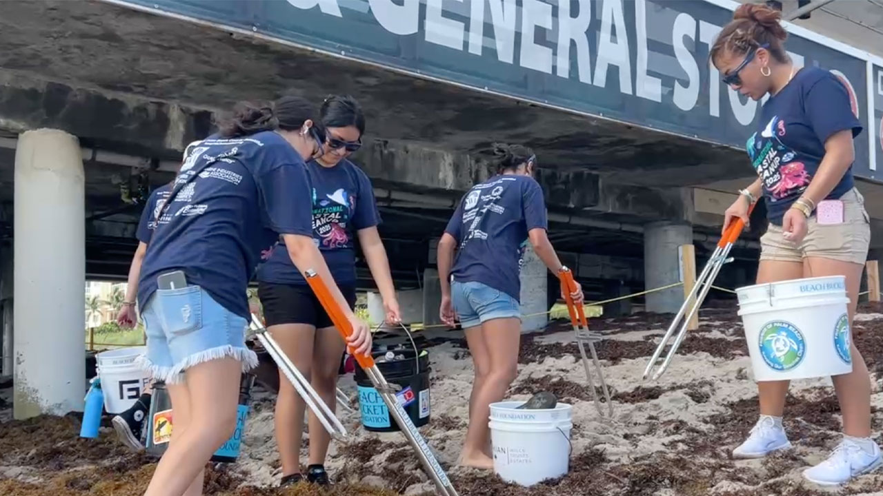 Lake Worth Beach Cleanup