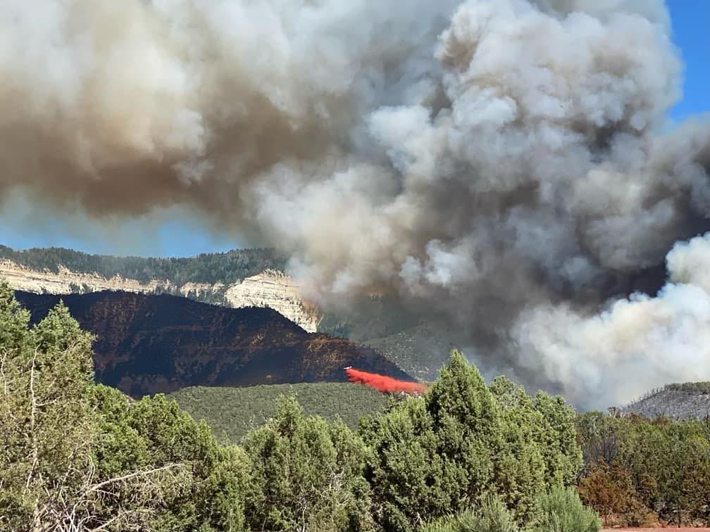Spring Creek Fire_Inciweb