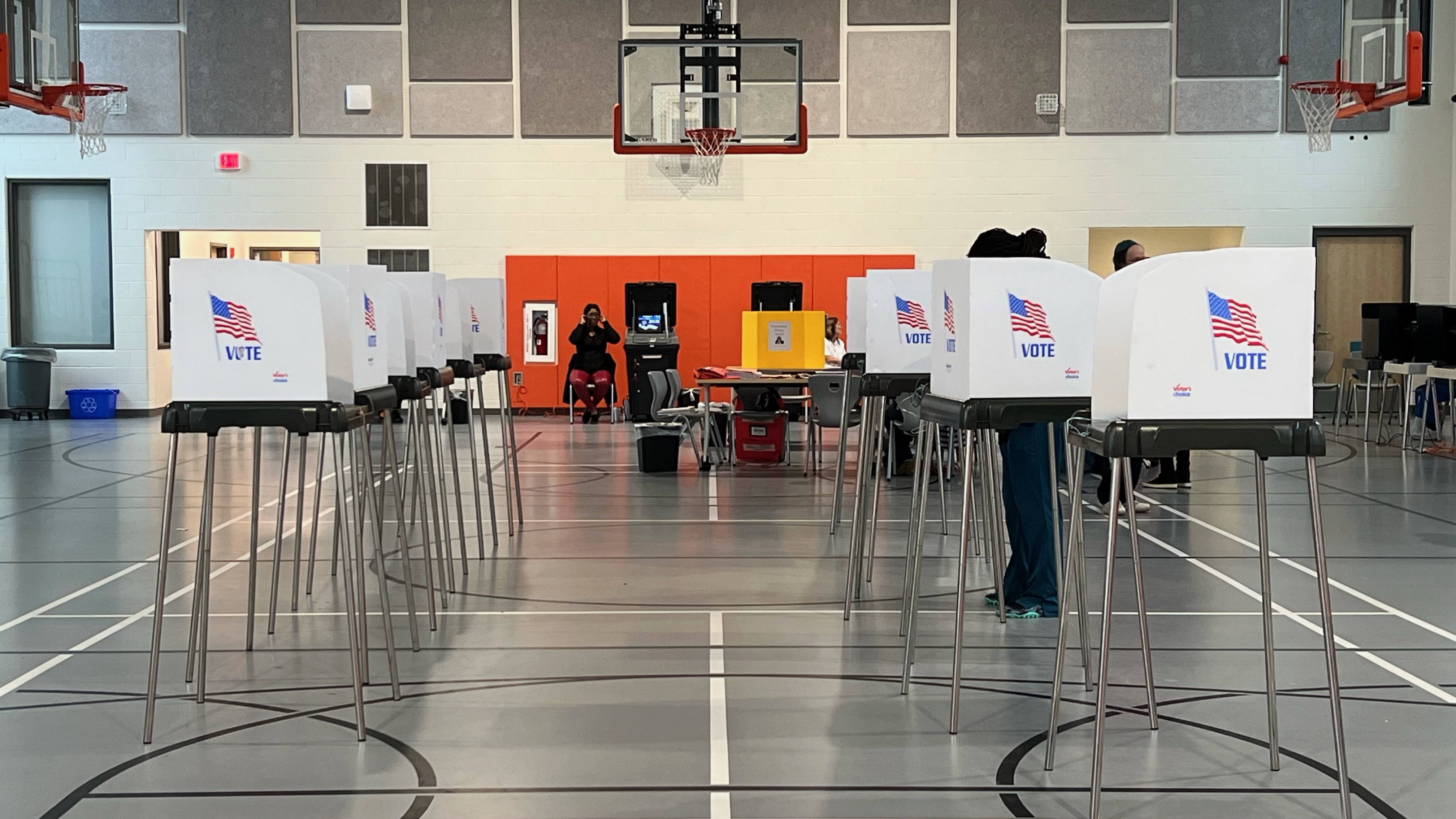 voters at the polls 2.jpeg