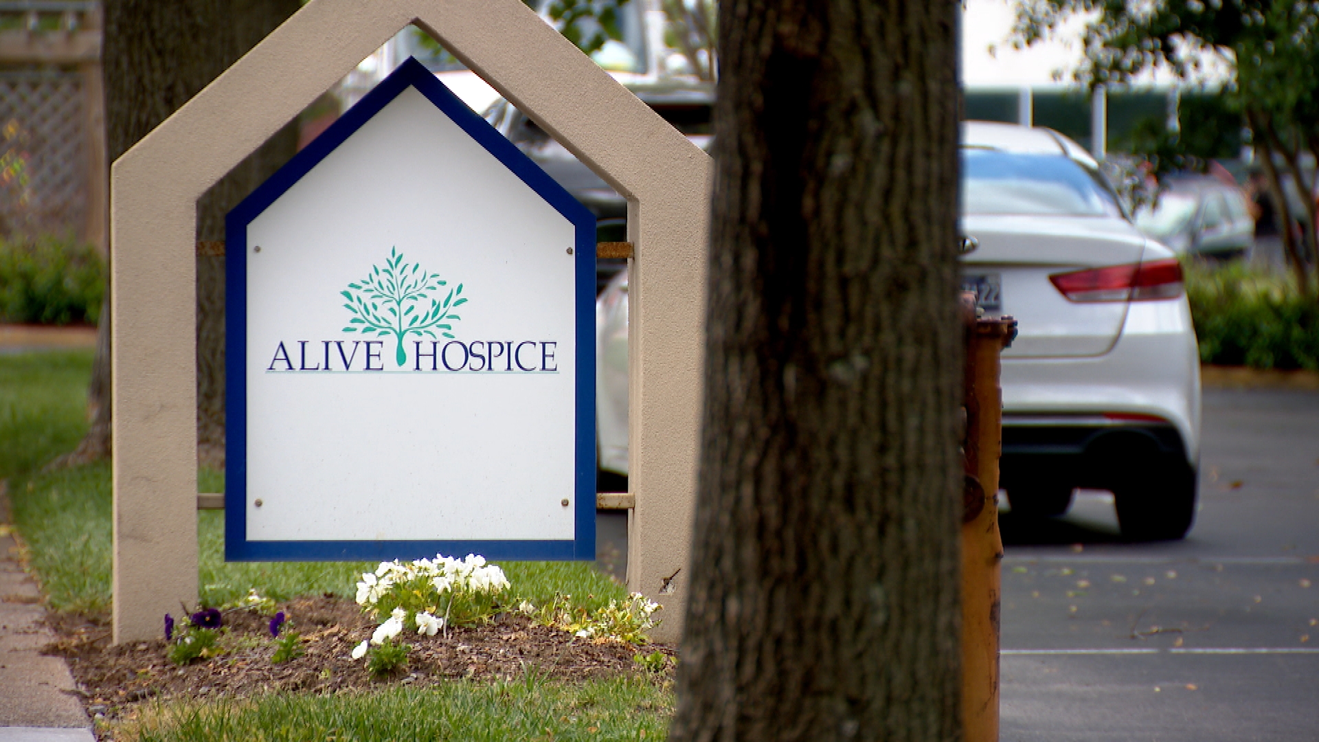 Alive Hospice 