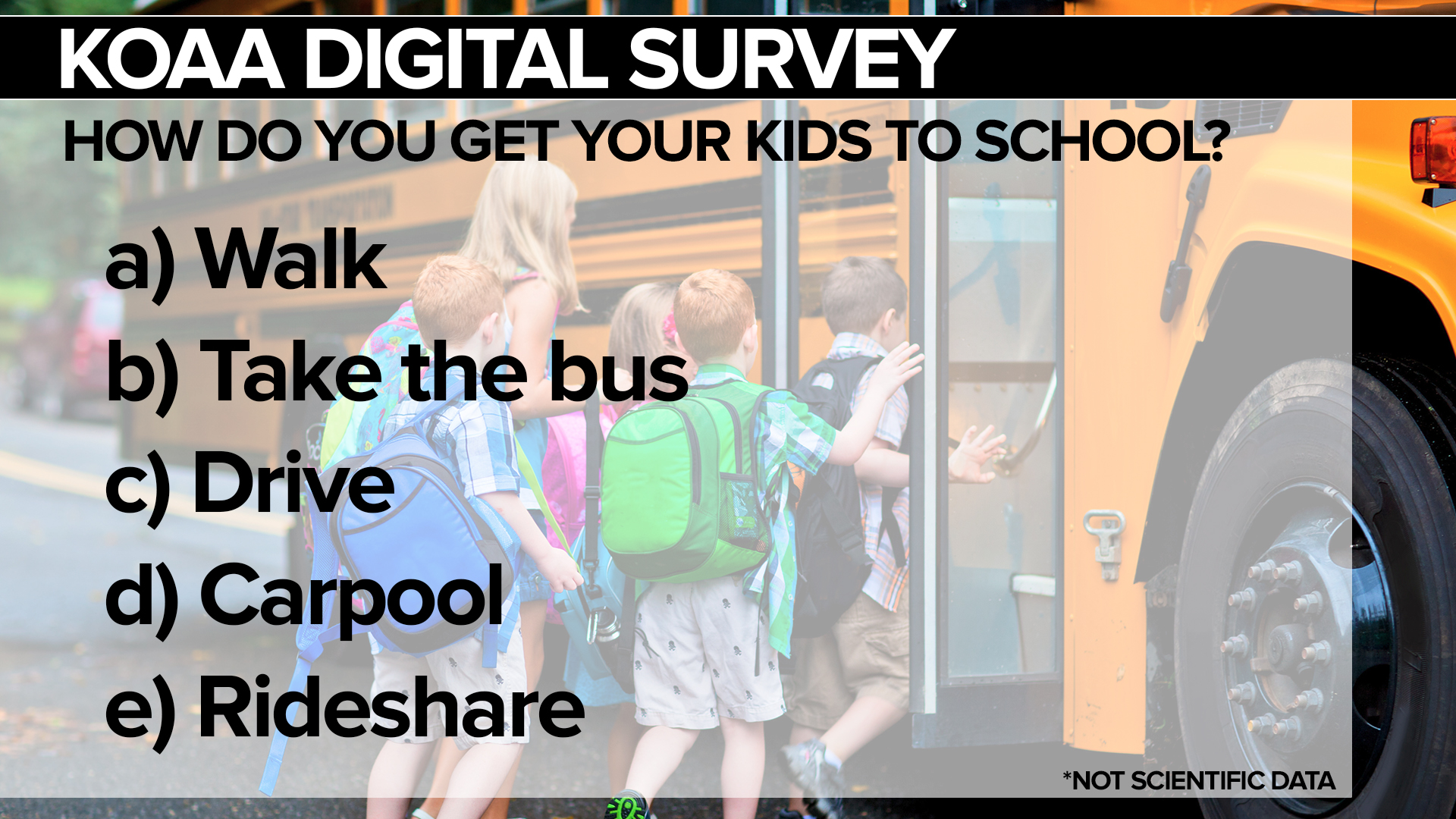 SURVEY School
