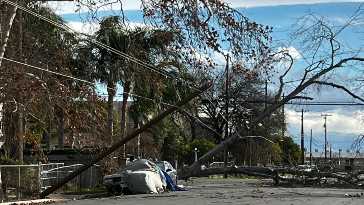 Storm damage in East Bakersfield