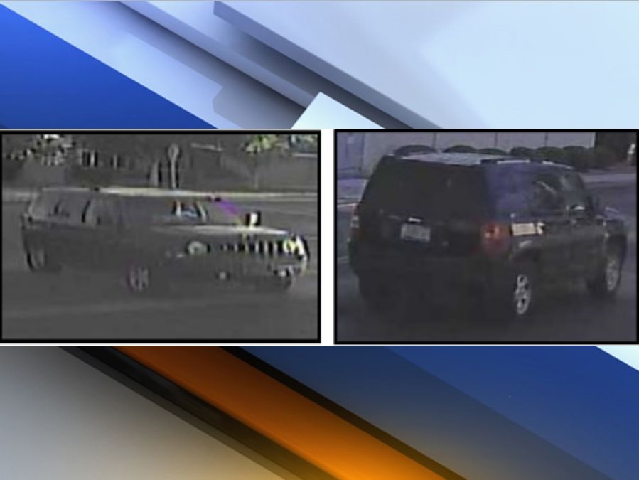 hit&run.jpg