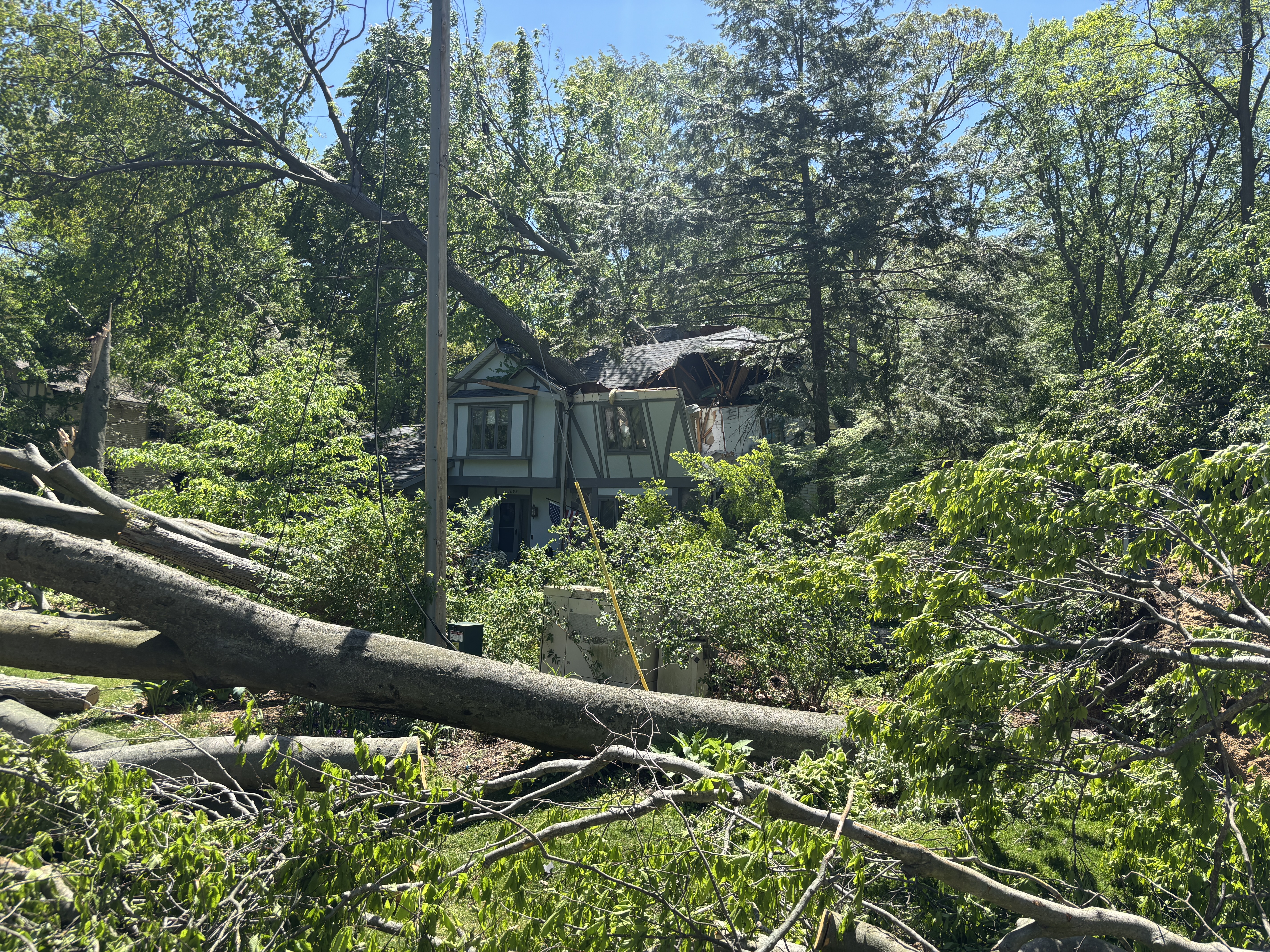 Holland-area storm damage