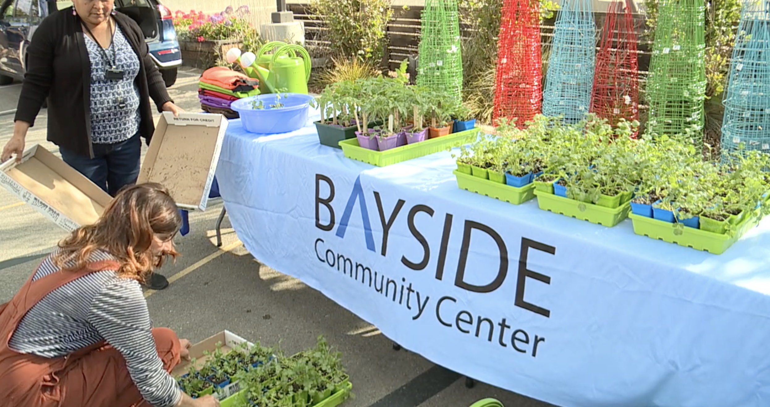 bayside tiny gardens