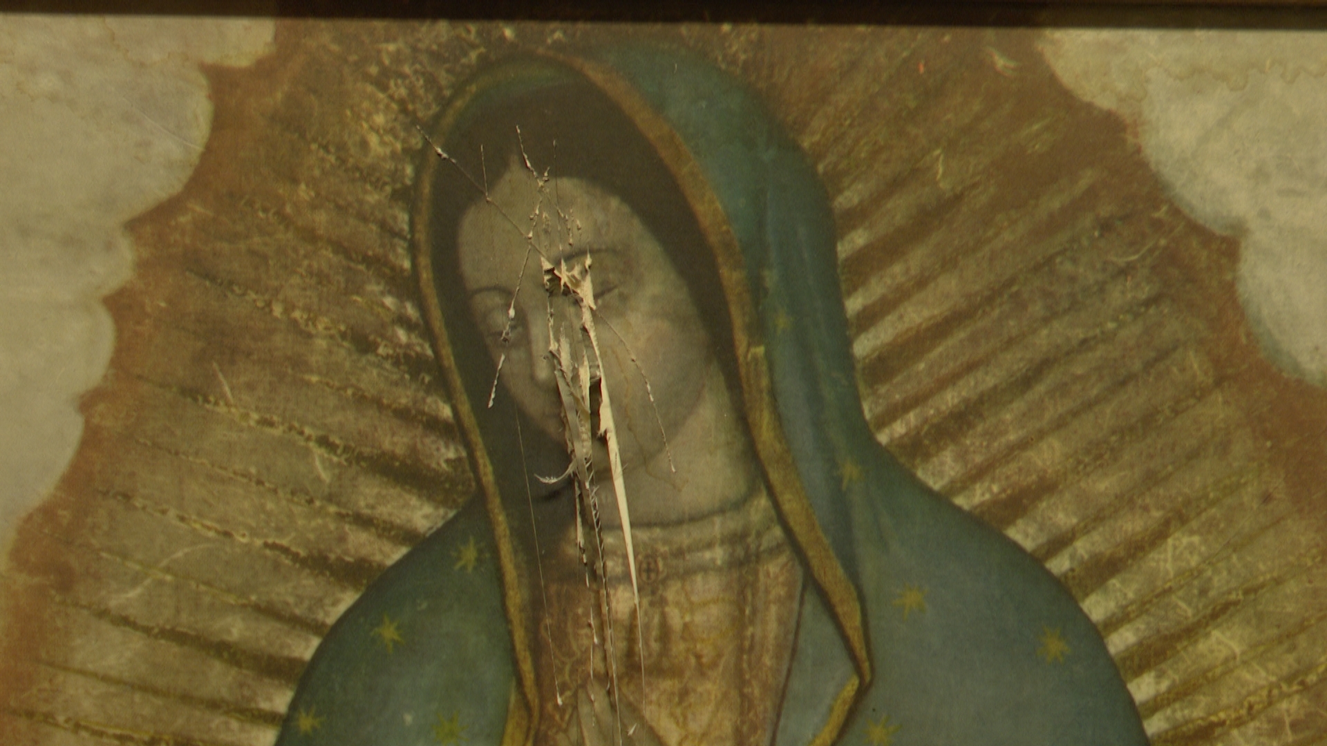 ALINA MONITOR PIC_1.9.1.jpg