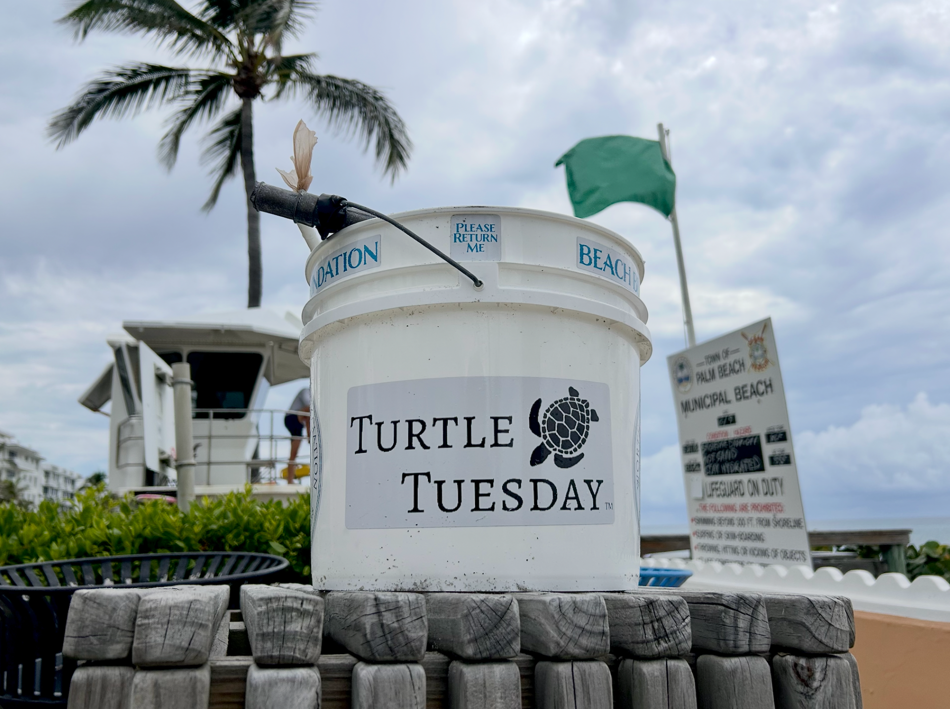 Turtle Tuesday Palm Beach thumbnail June 2026.png