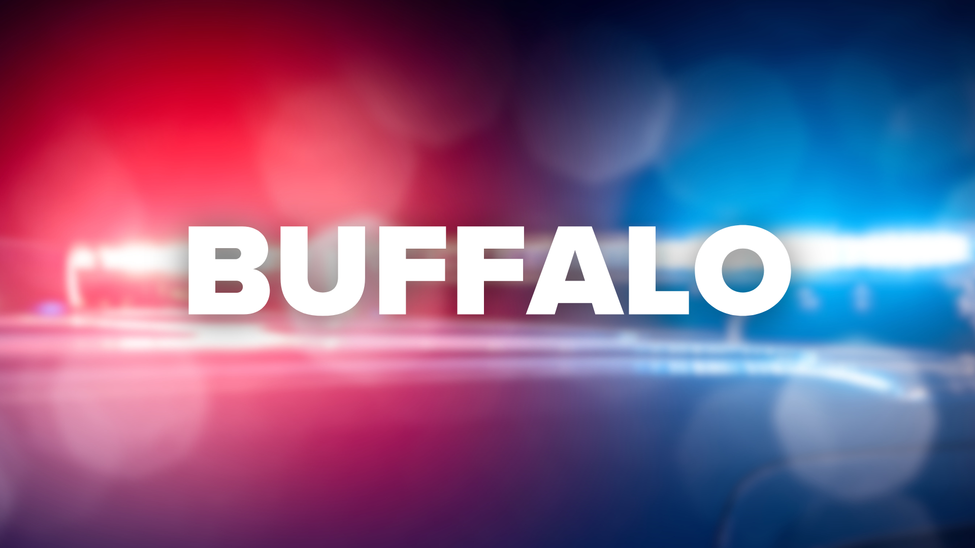 BUFFALO.png