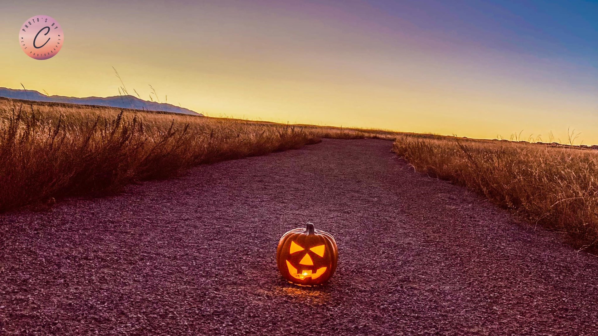 Peyton, Colorado pumpkin