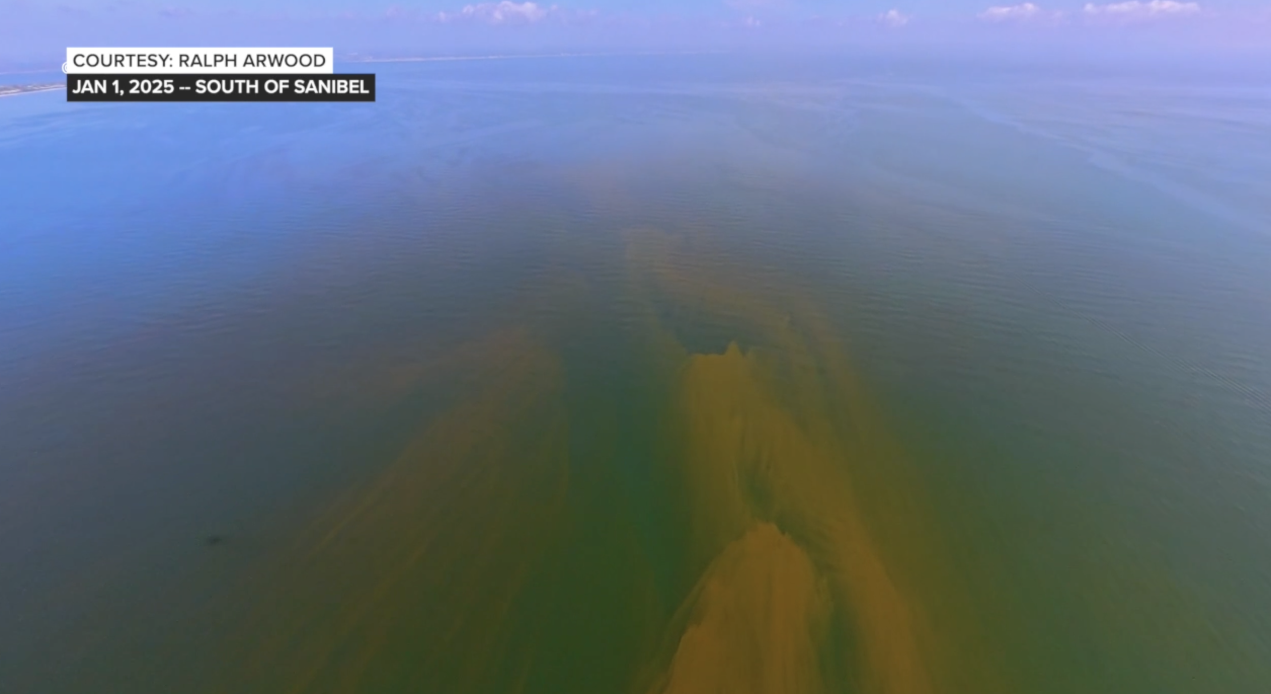 Red Tide Jan 1 2025