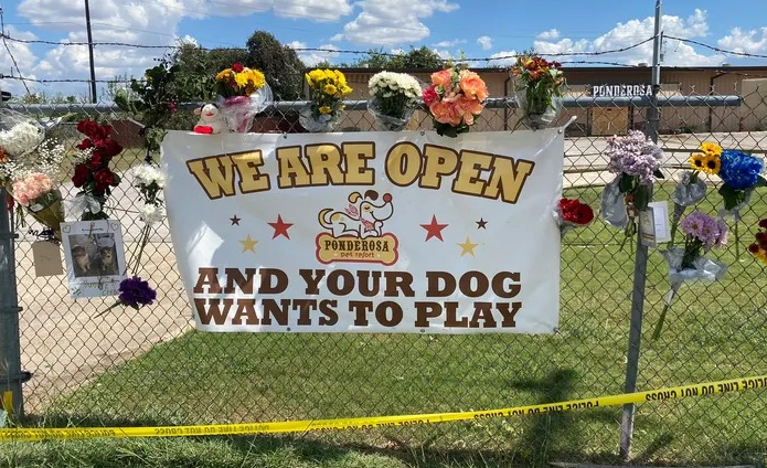 Ponderosa Pet Resort