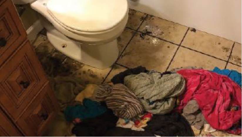 It could happen to you: Billings couple takes sewer back-up fight to Montana's highest court - Vimarsana News