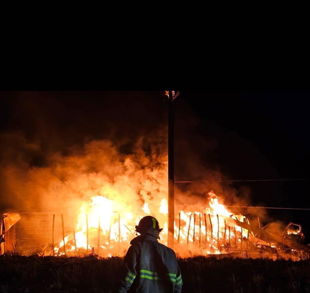 Seligman crash 