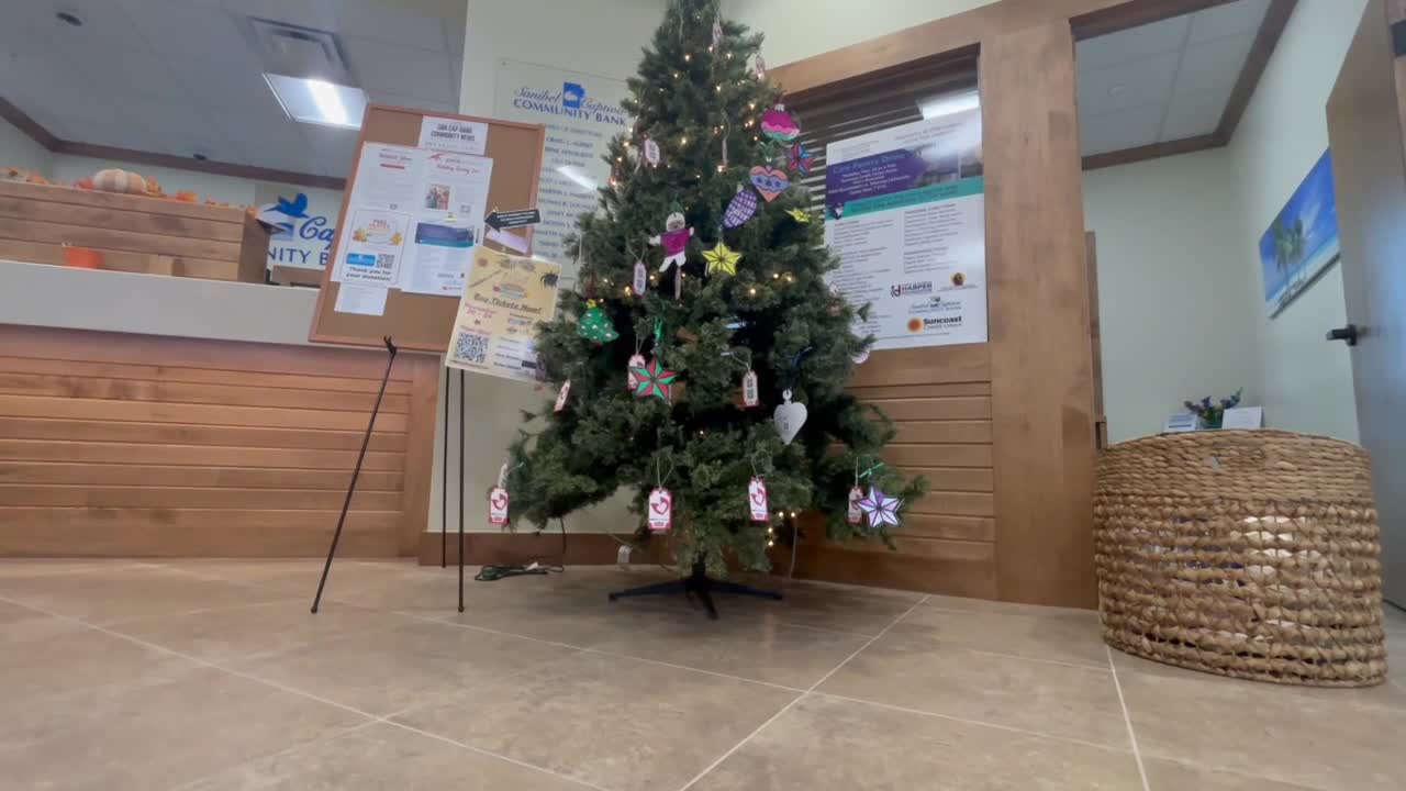FGCU Christmas tree give back