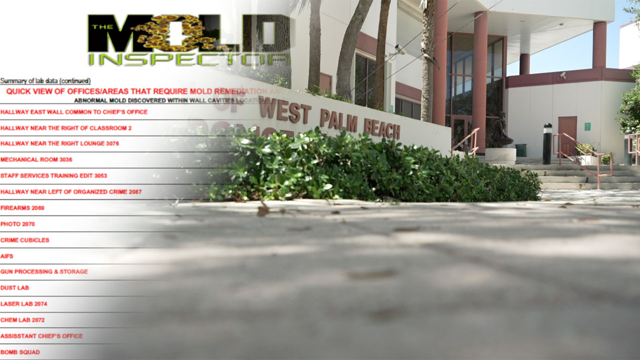West Palm Beach police mold