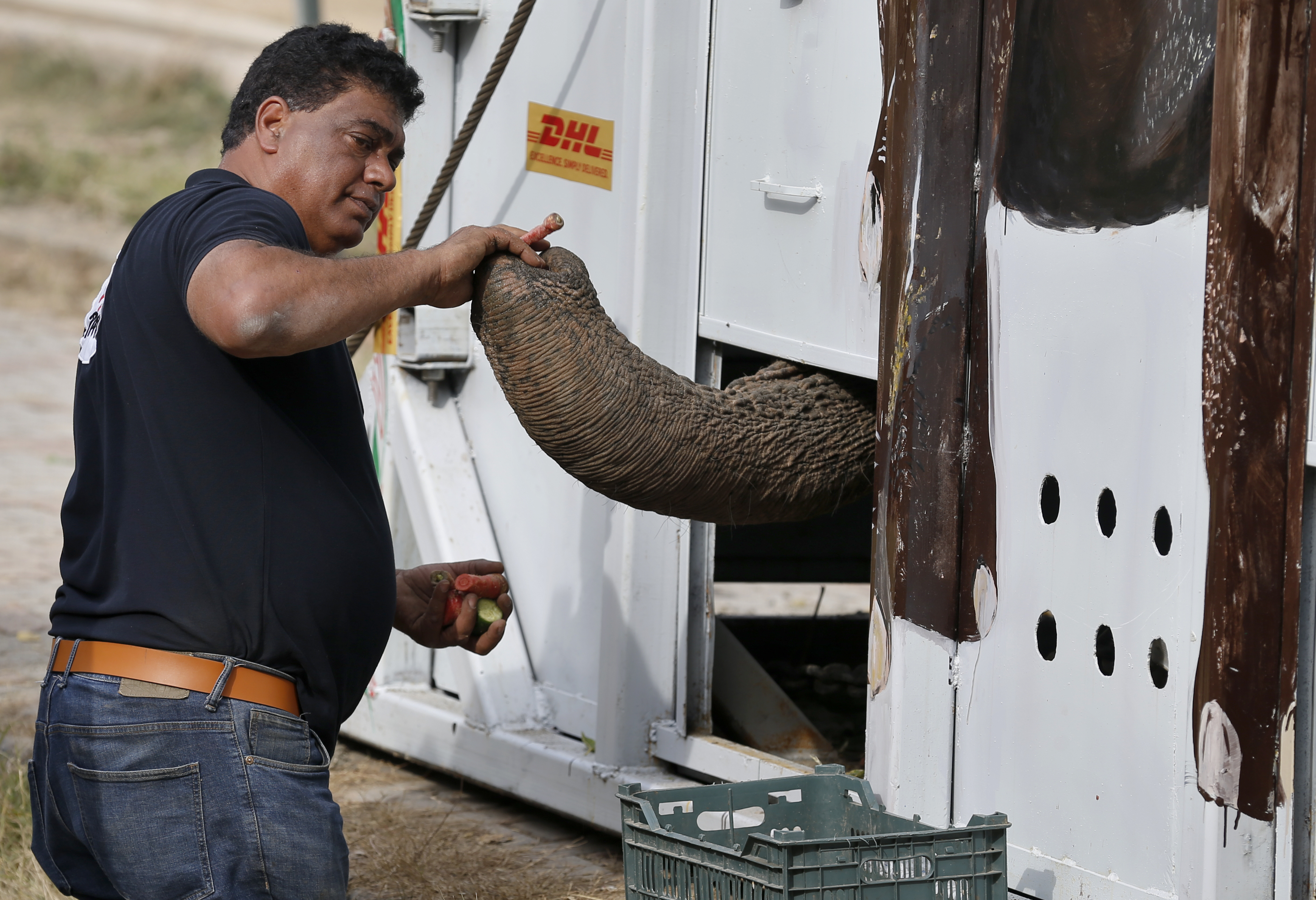 Pakistan Loneliest Elephant