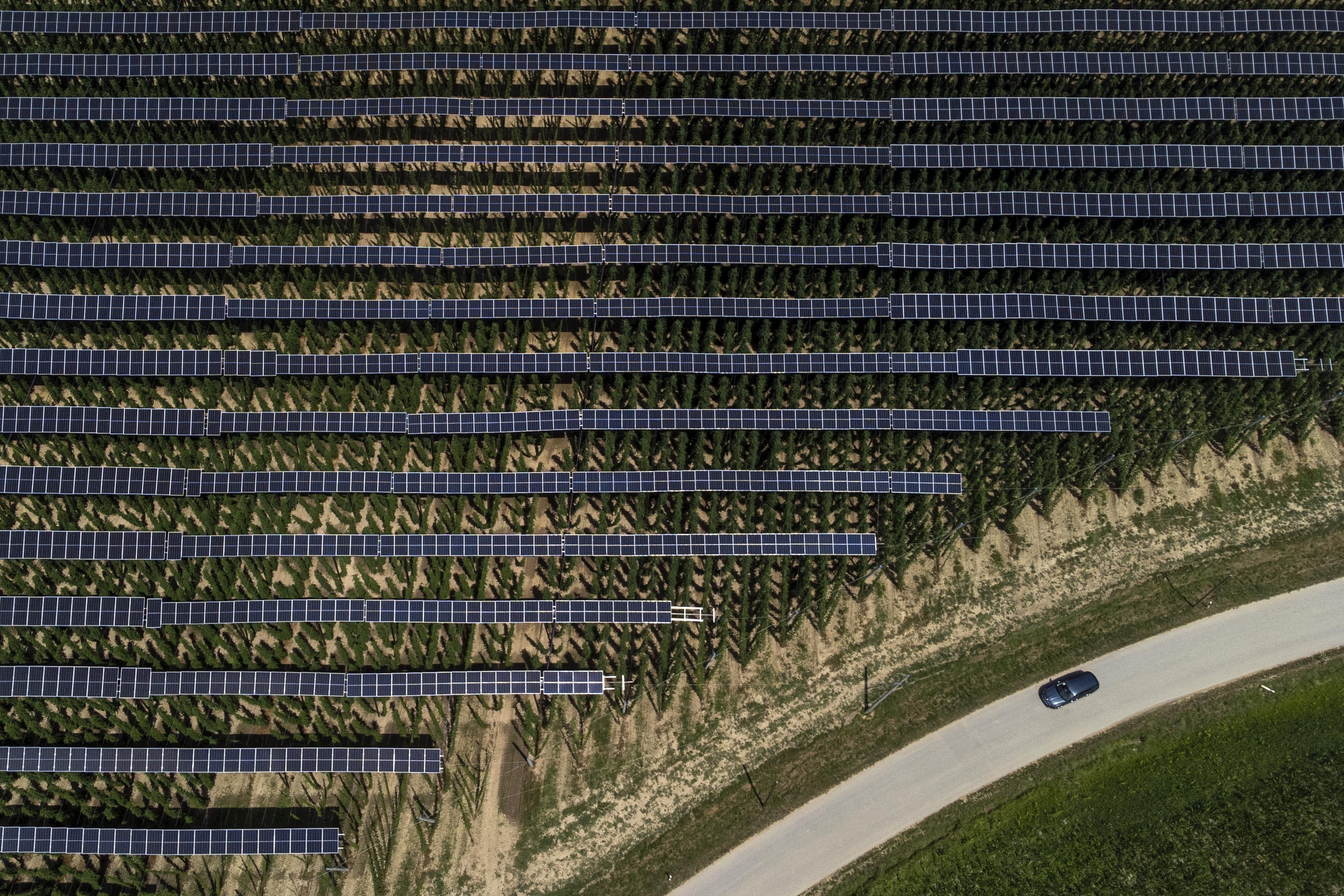 Climate Beer and Solar