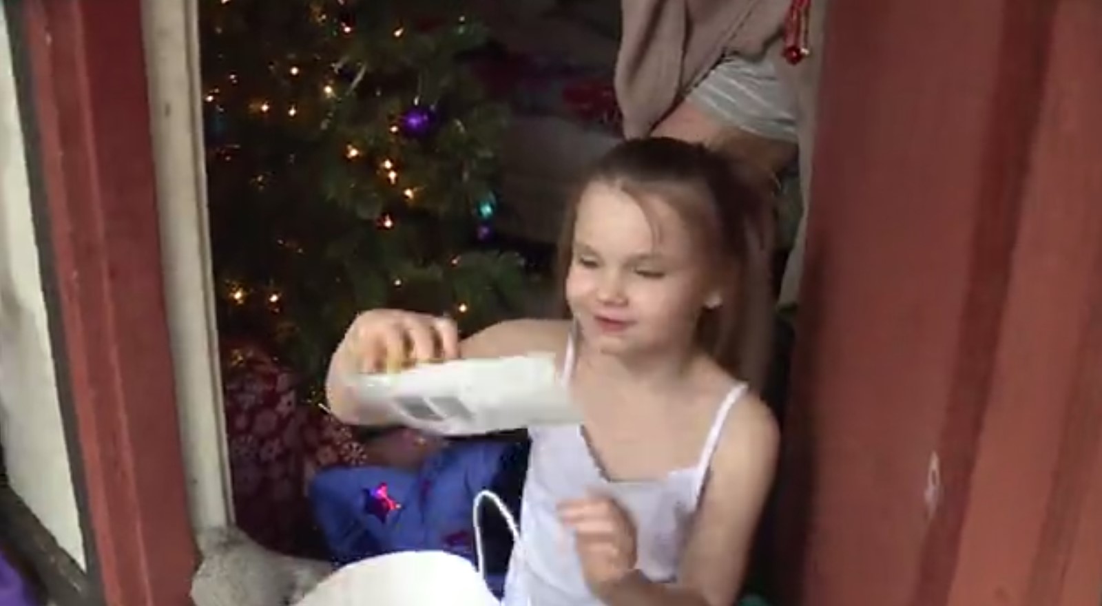 Petersburg Police Christmas.jpg