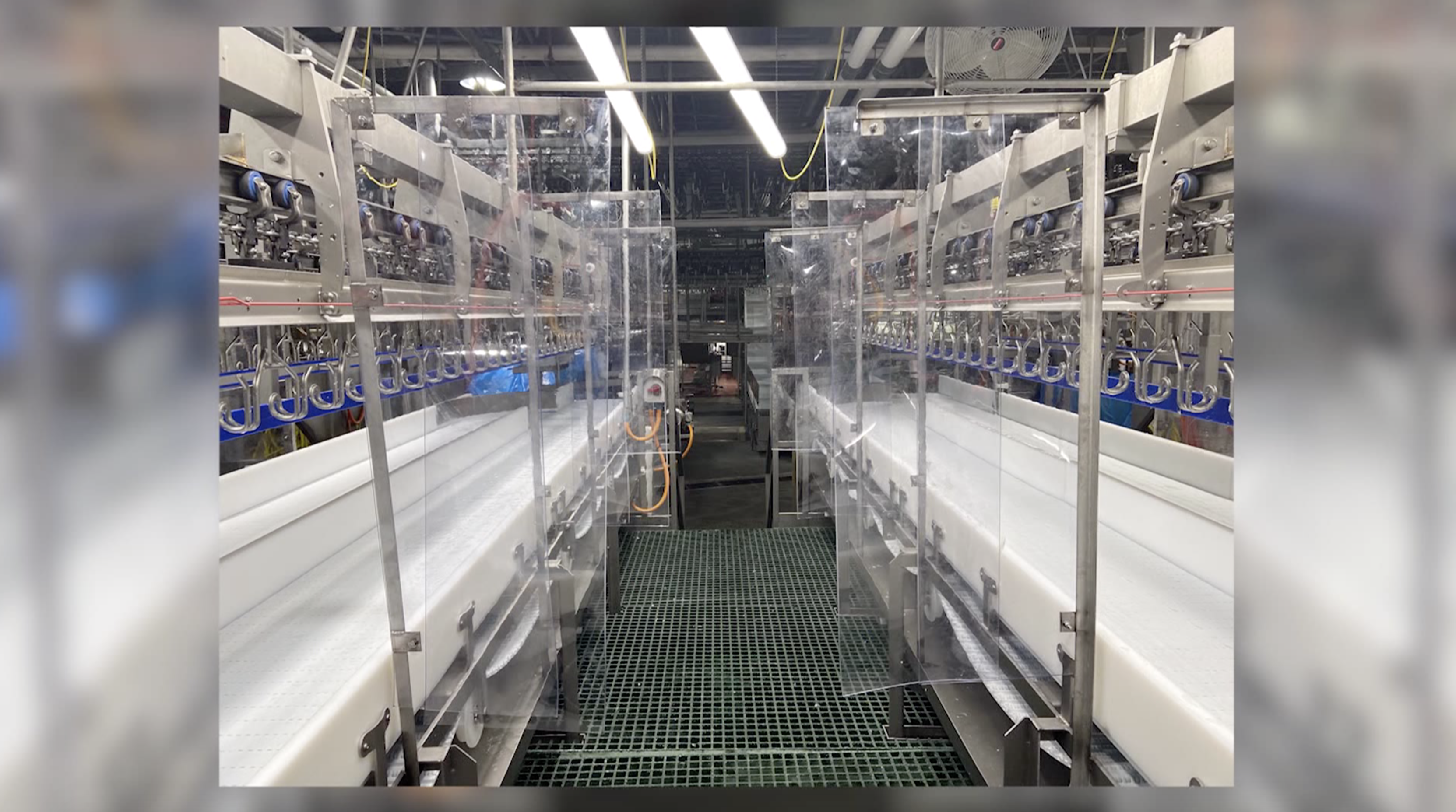 2 million chickens being killed because processing plants are short-staffed