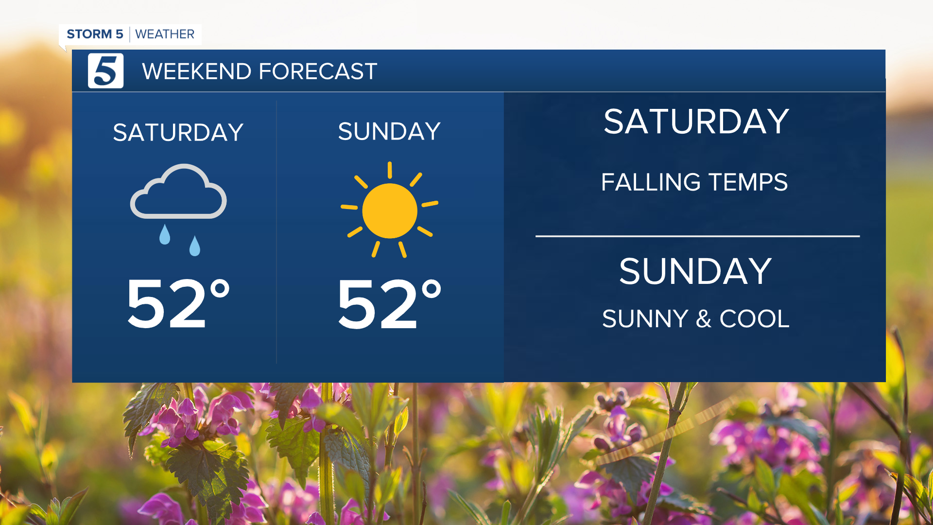 2020 Weekend Forecast DETAILS.png