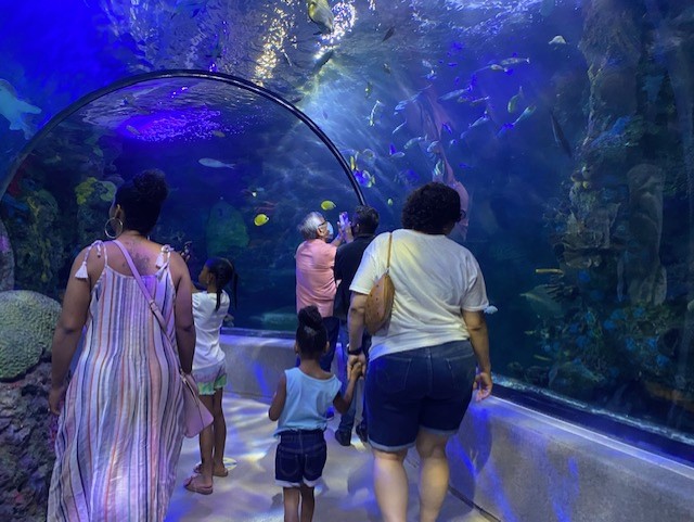 virginia aquarium.jpg