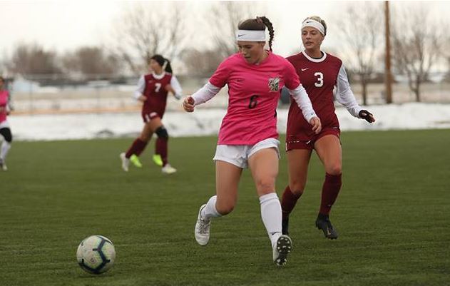 MSUB WSoc Pink.JPG