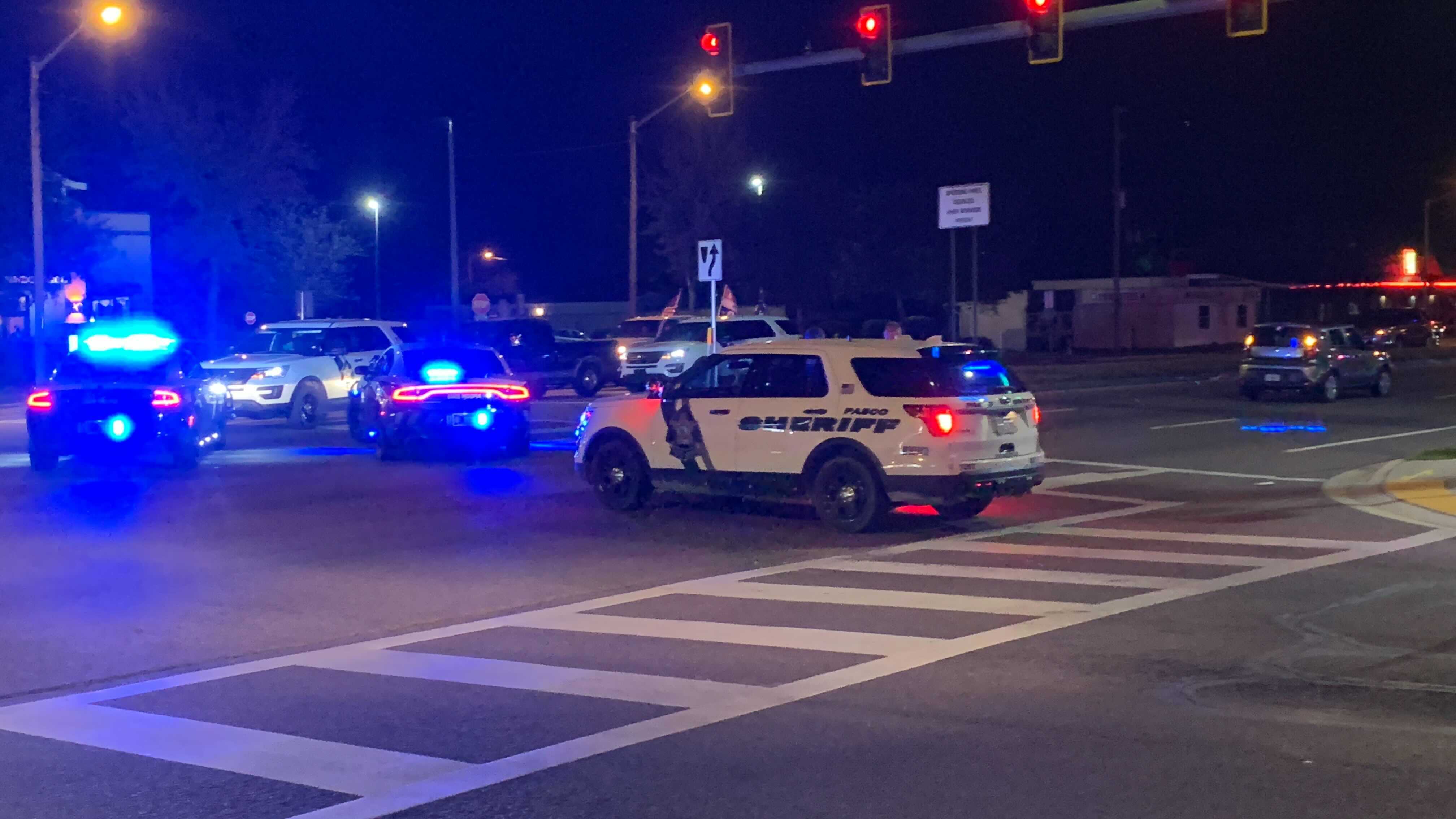 Hudson 2 children hit