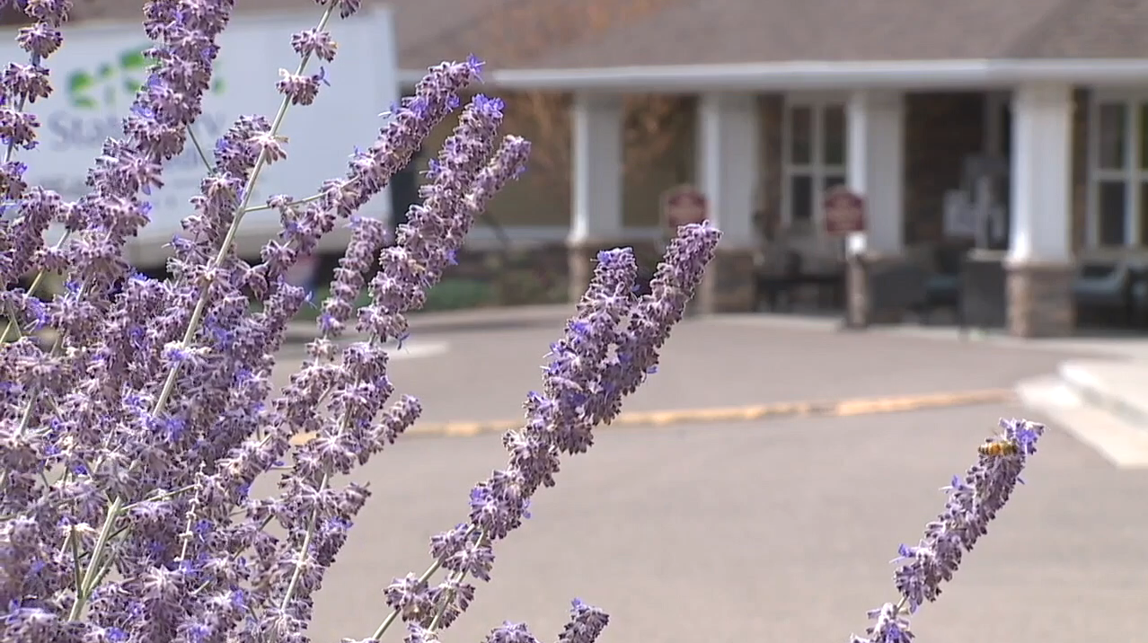 colorado long term care facility 