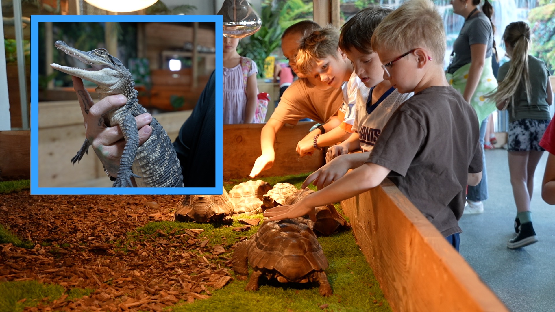 SAVE IDAHO REPTILE ZOO thumbnail.jpg