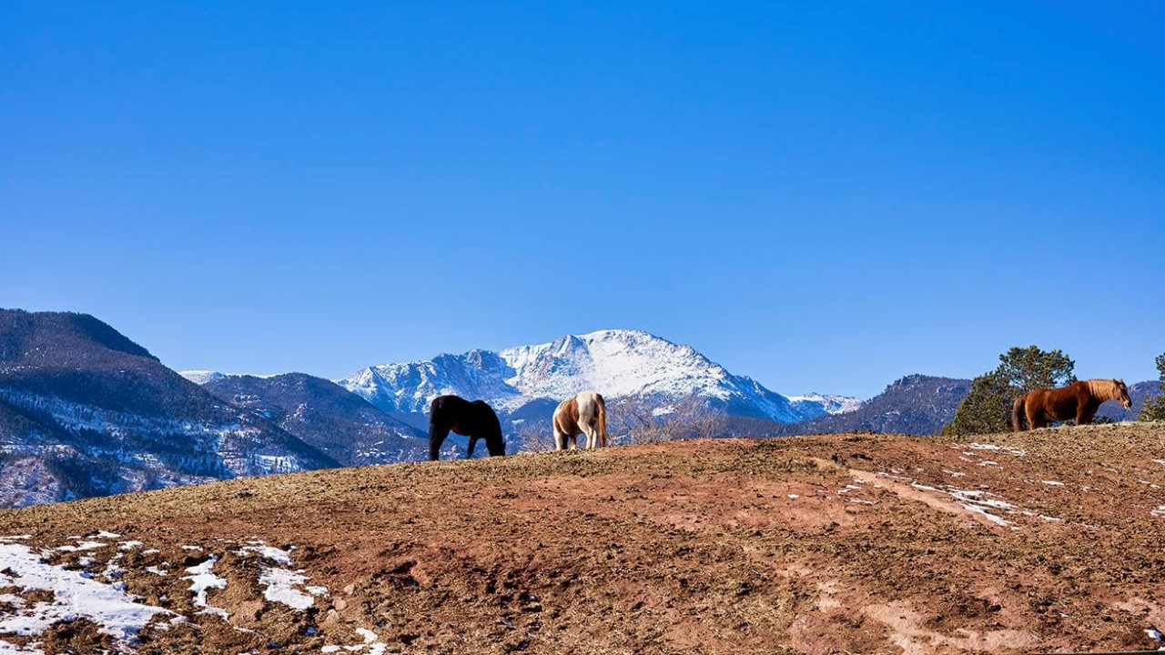 Pikes Peak from Colorado Springs