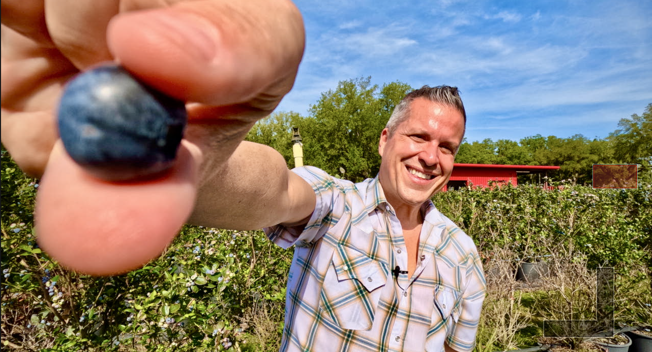 Screen Shot 2024-04-09 at 6.03.00 PM.png