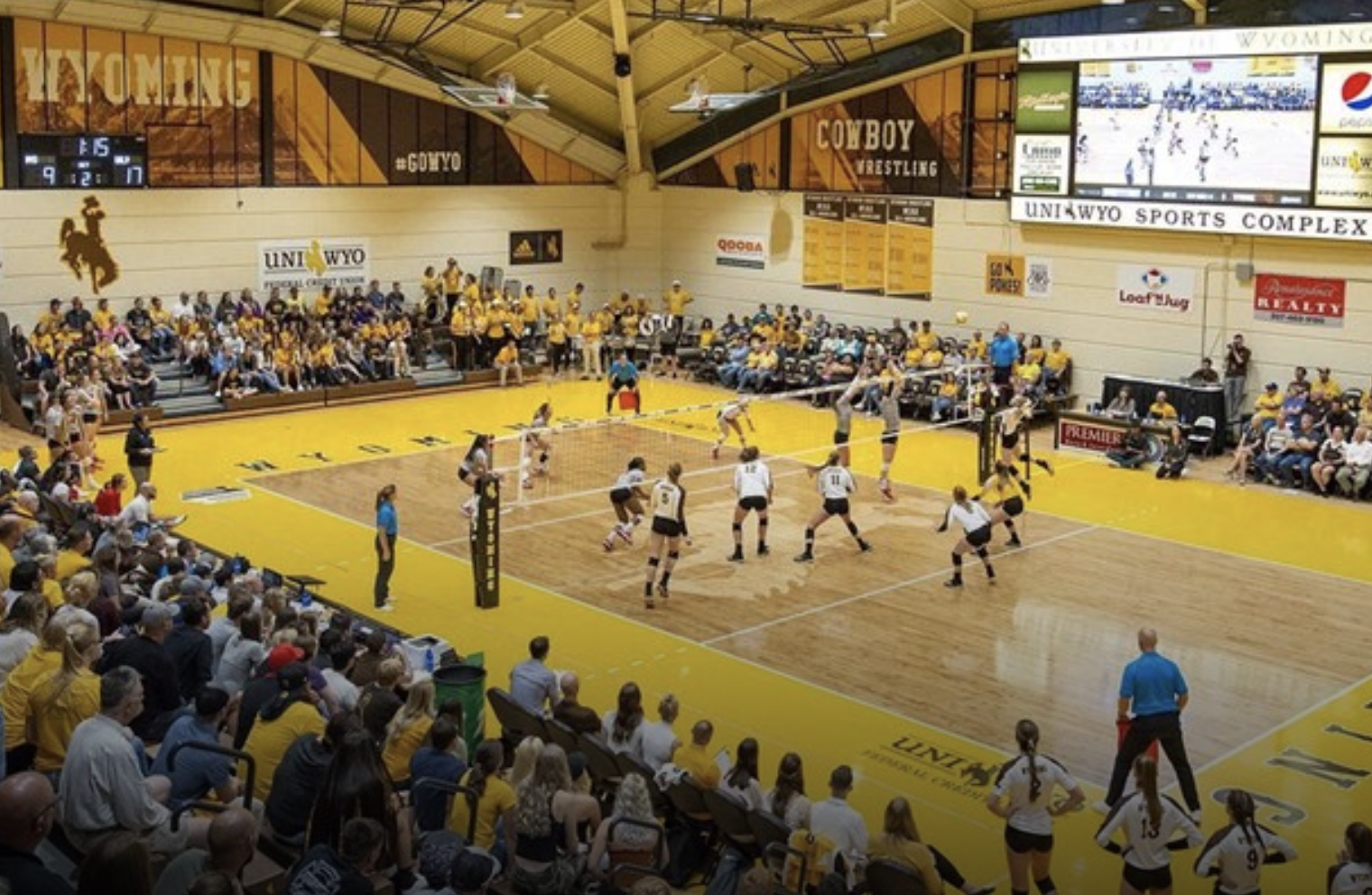 Wyo VB Wide.png