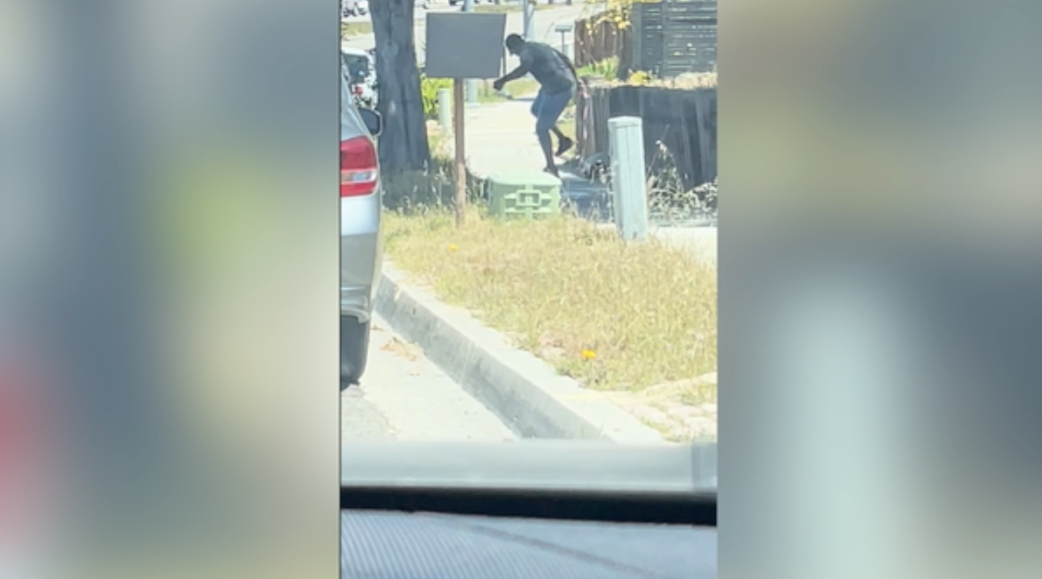 oceanside police 4_29 animal abuse.png