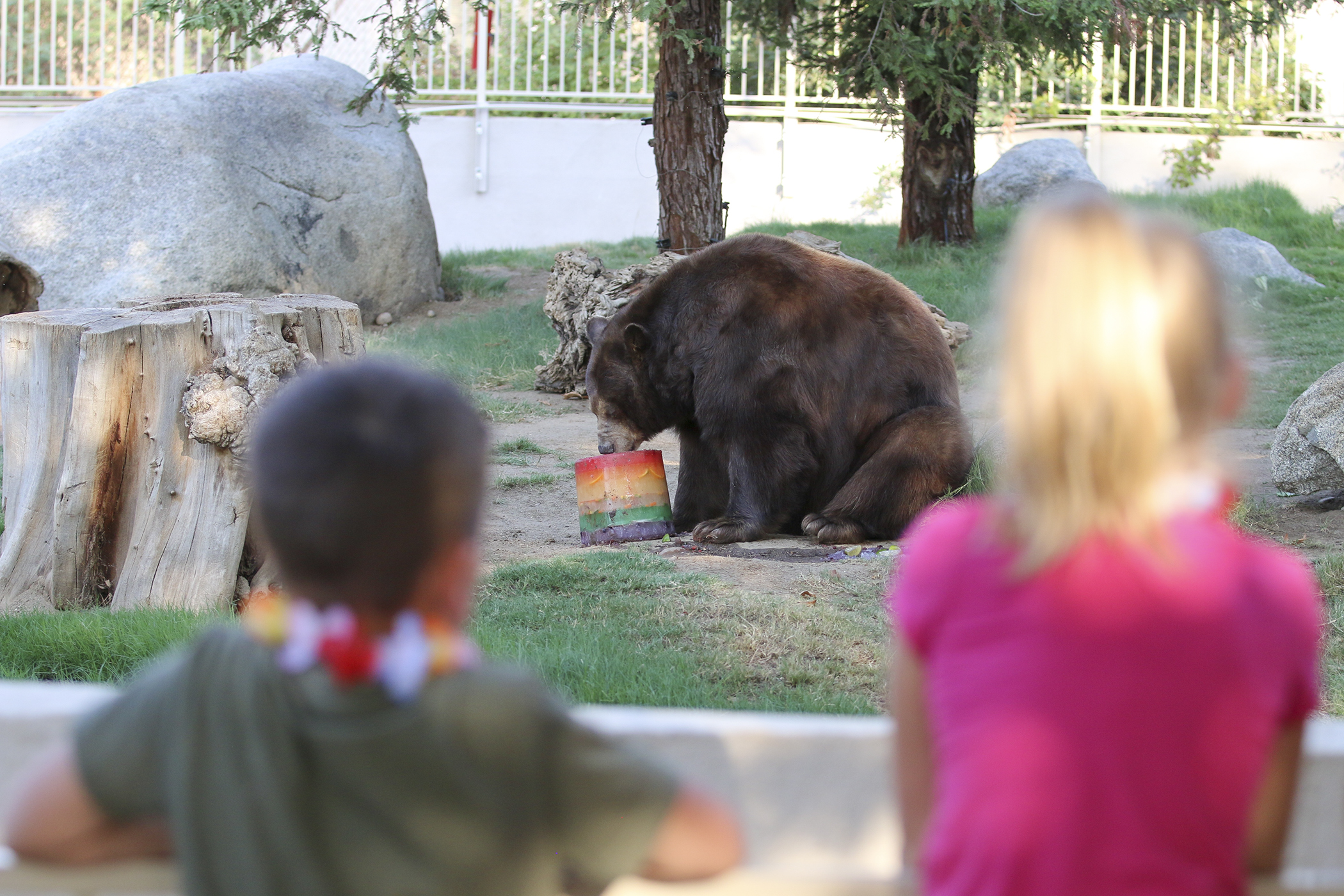 CALM Zoofari August 5, 2021