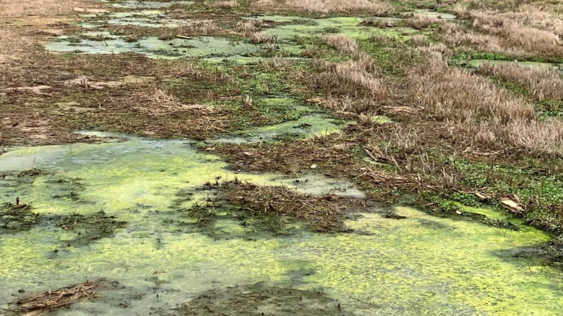 Standing Waste Water.jpg