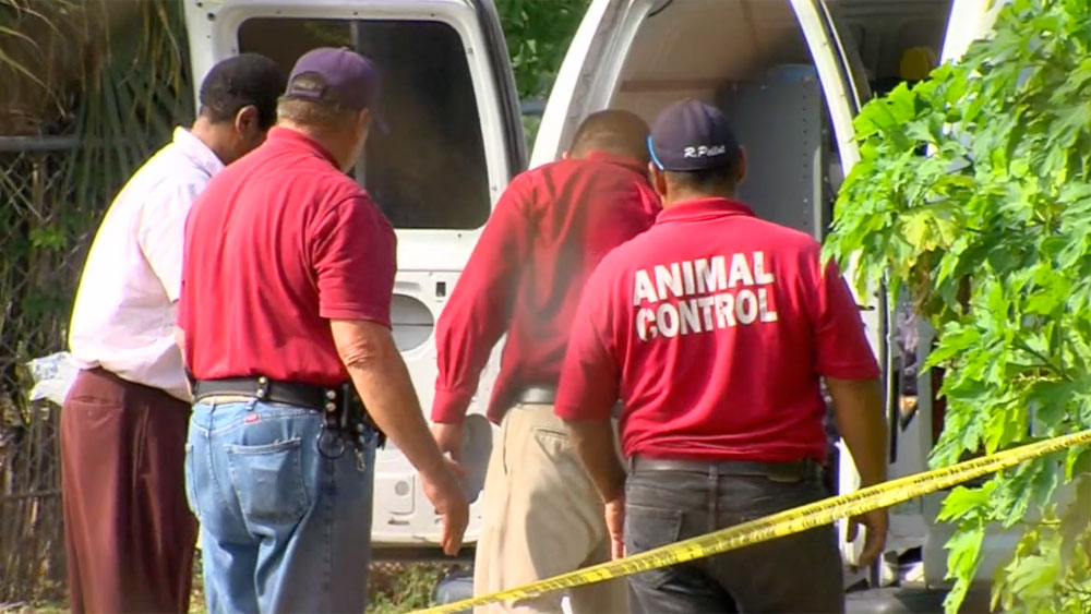 wptv-st-lucie-dog-bite-fatal-.jpg