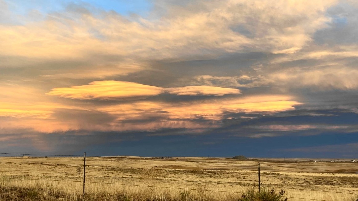 COLORADO SPRINGS LINDA WATKINS