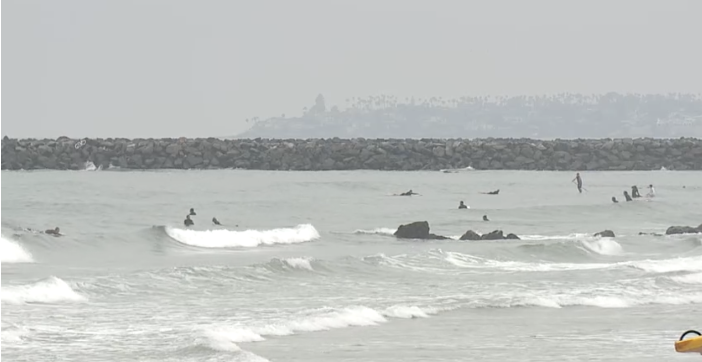 Surfers in tsunami waves