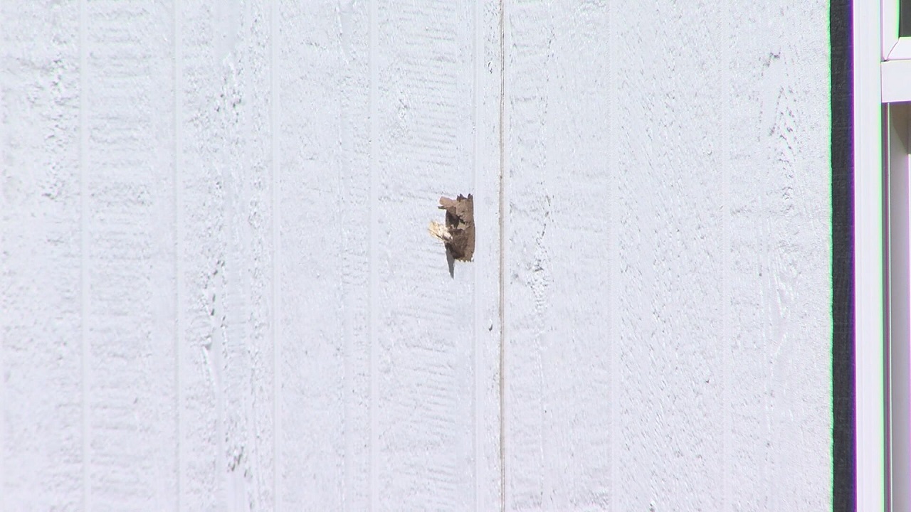 FLORISSANT SHOOTING BULLET HOLE.jfif