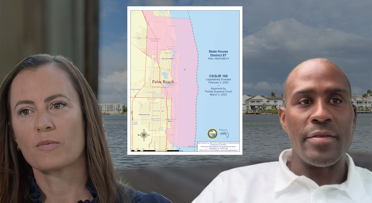 House District 87 special election 