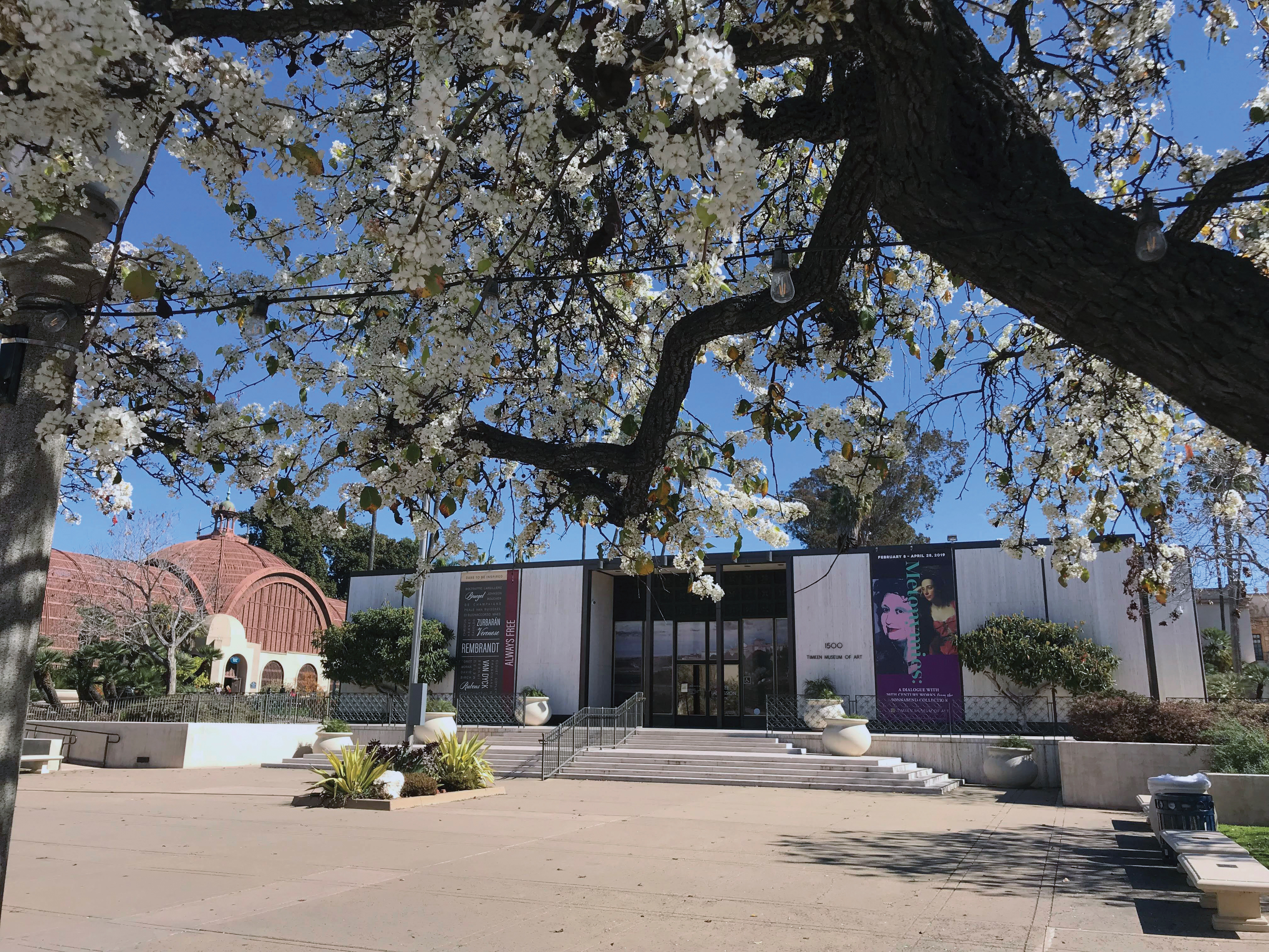 Timken museum balboa park.jpg