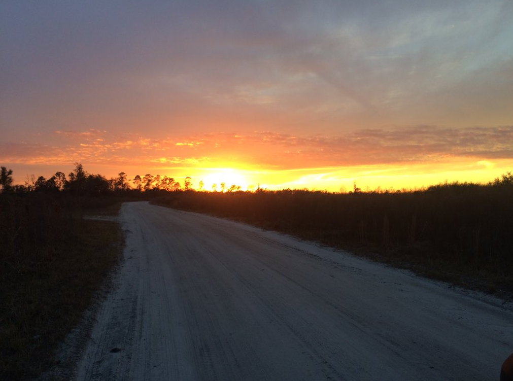 Taylor County sunset from Calvin Ross (2016)
