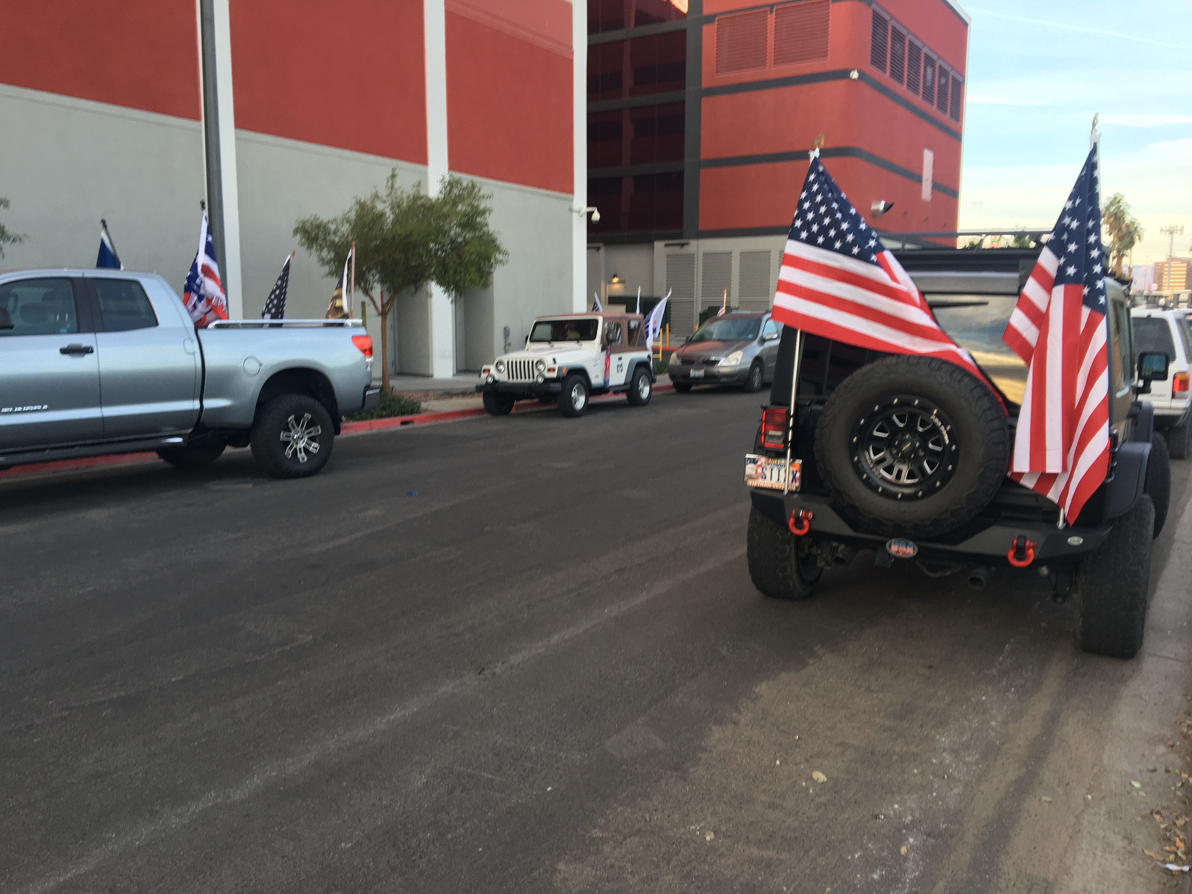 STOP THE STEAL CAR PARADE