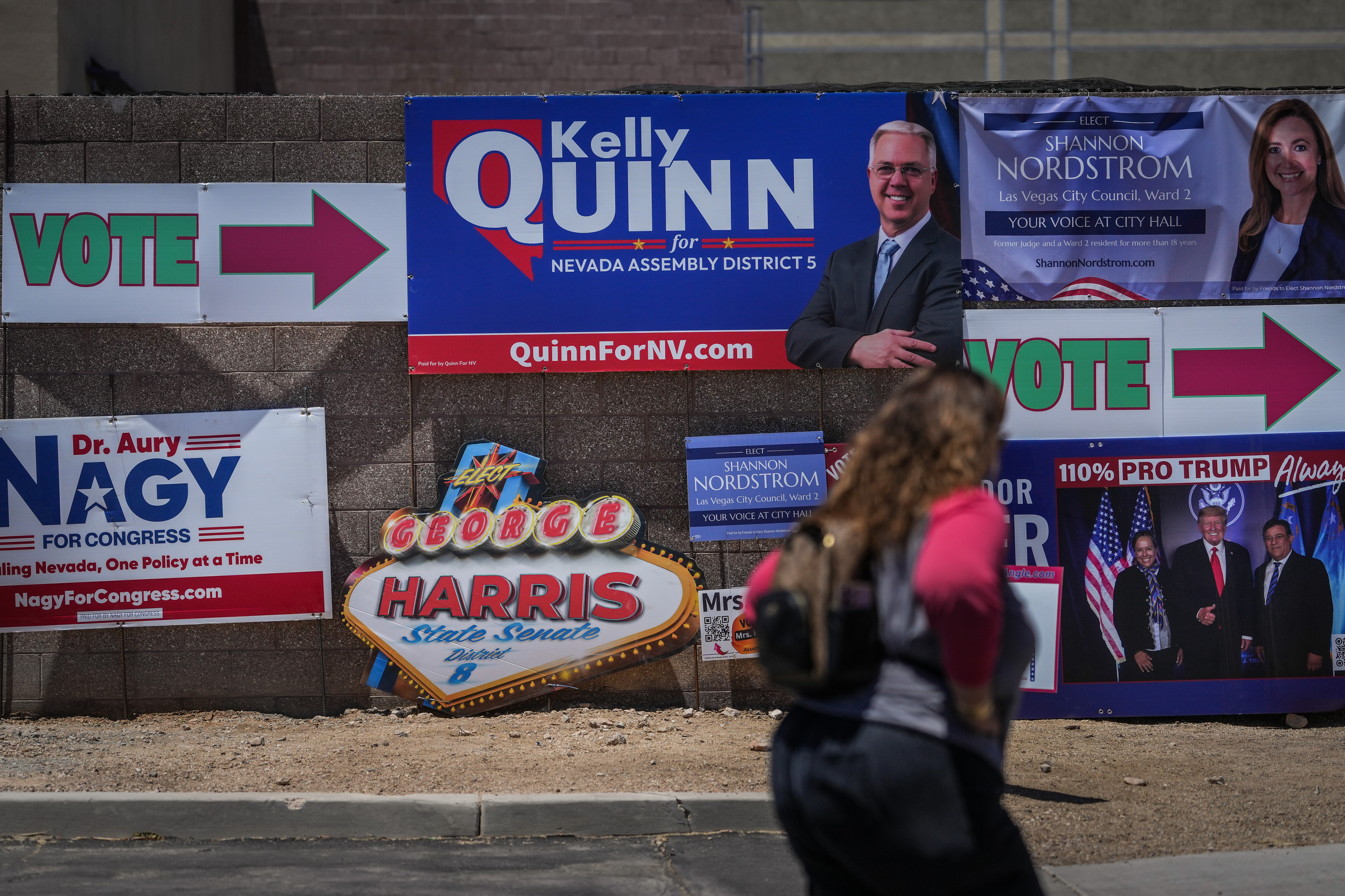 Election 2026 Nevada
