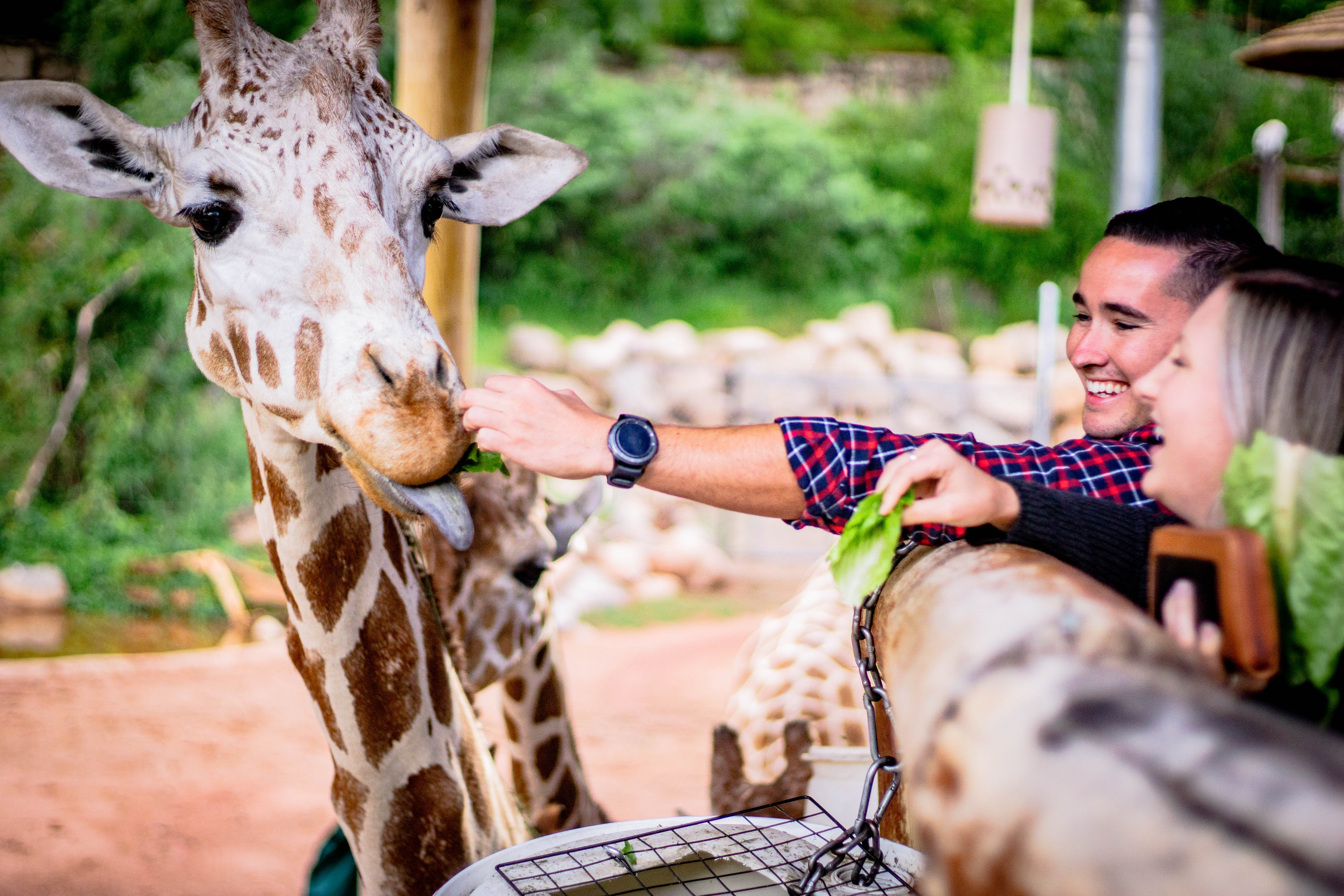 Cheyenne Mountain Zoo