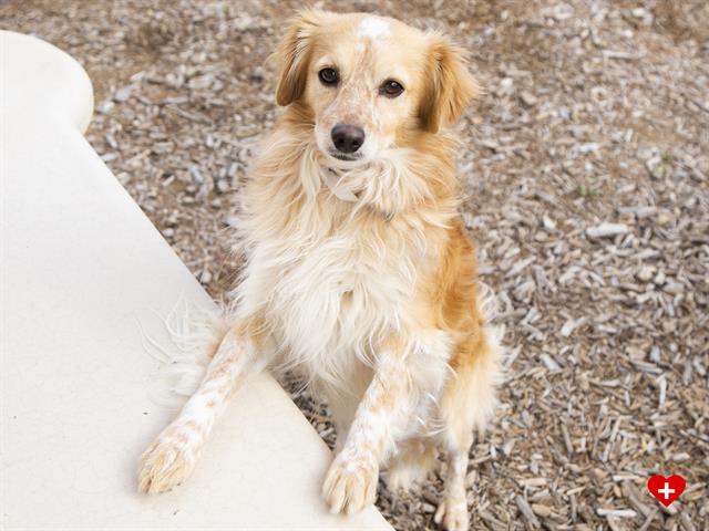 thumbnail_Dusty Bottoms 682609.jpg