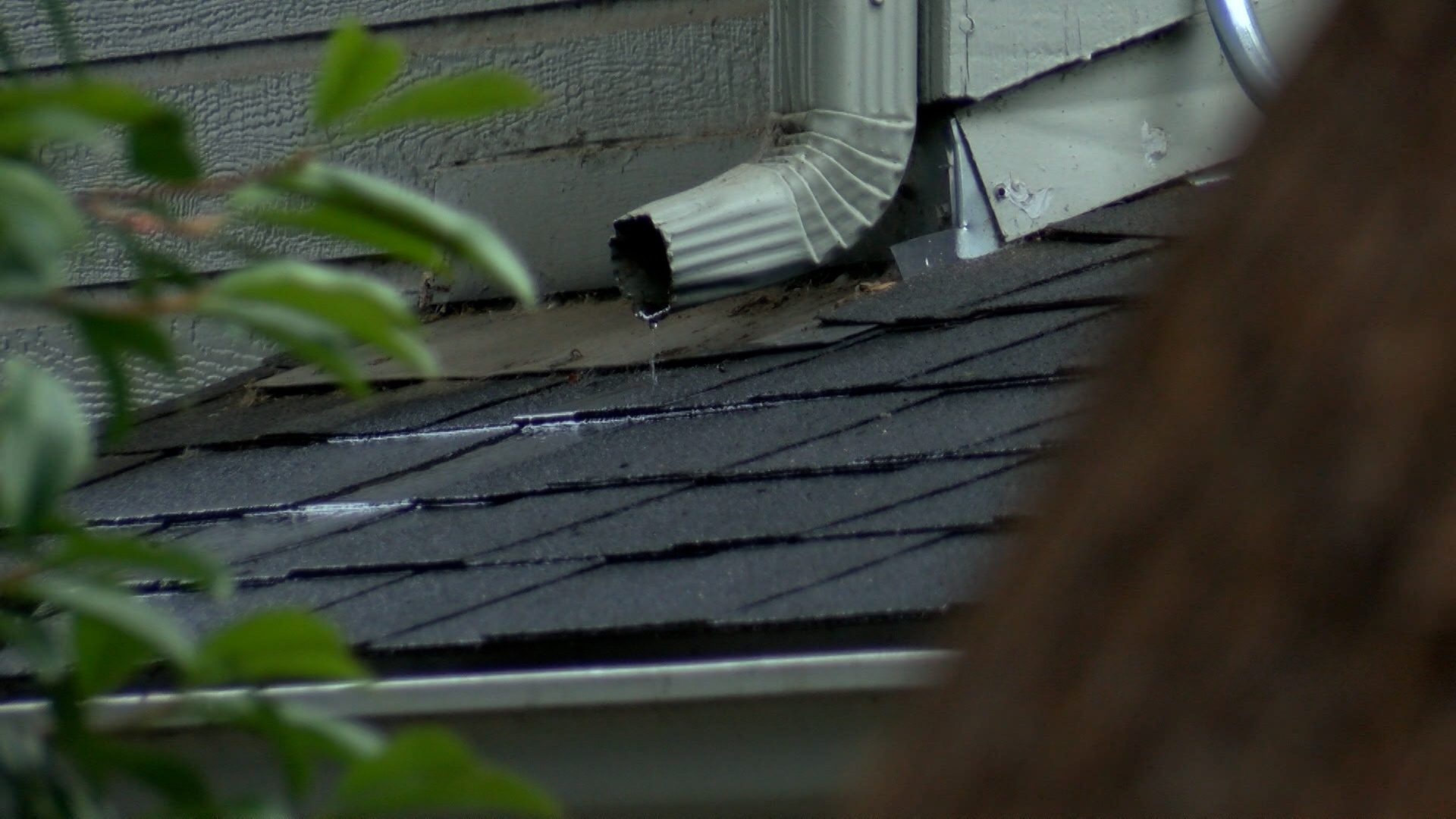 Sequence 01.00_00_22_59.Still001.jpg