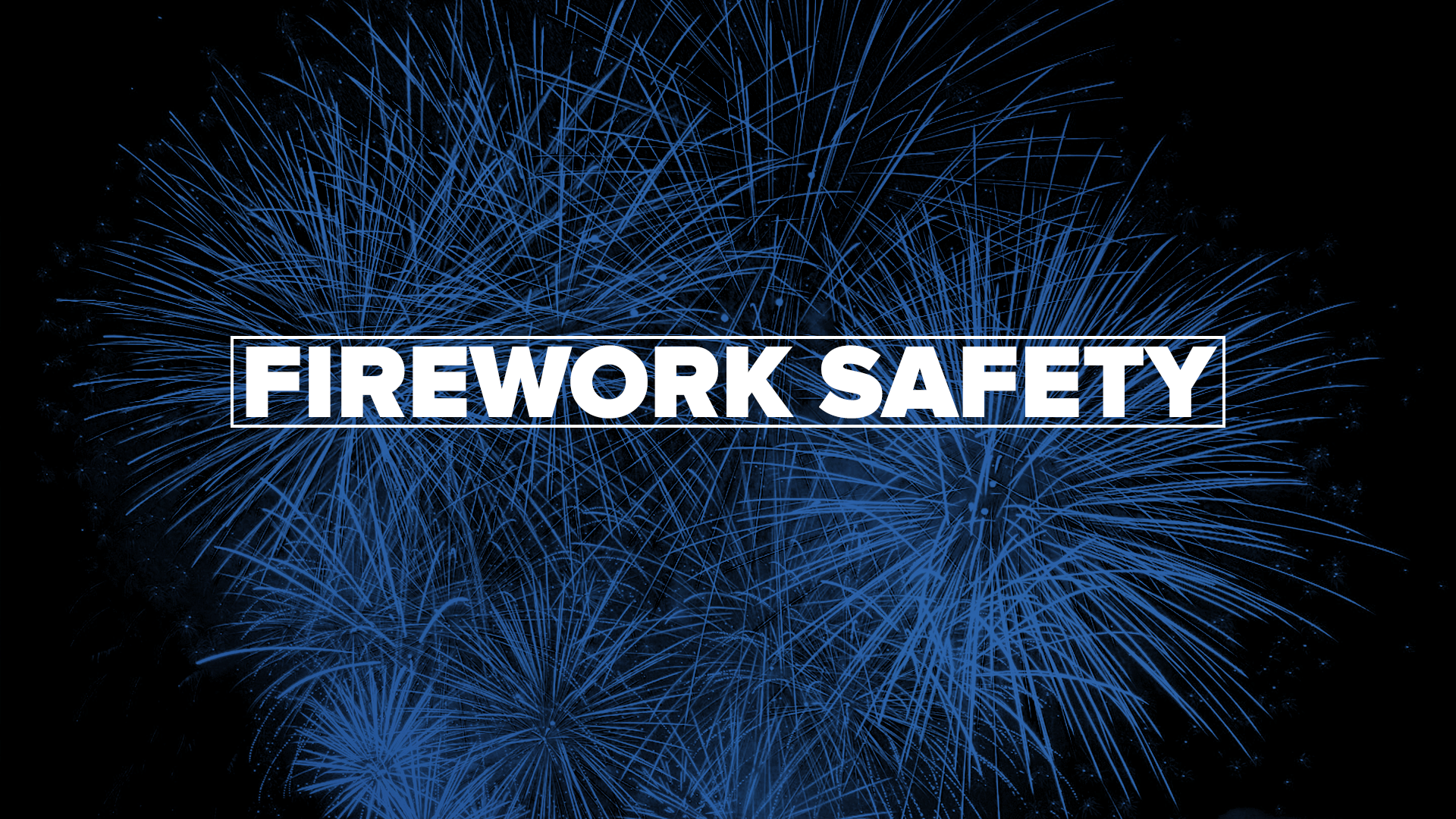 Firework Safety  