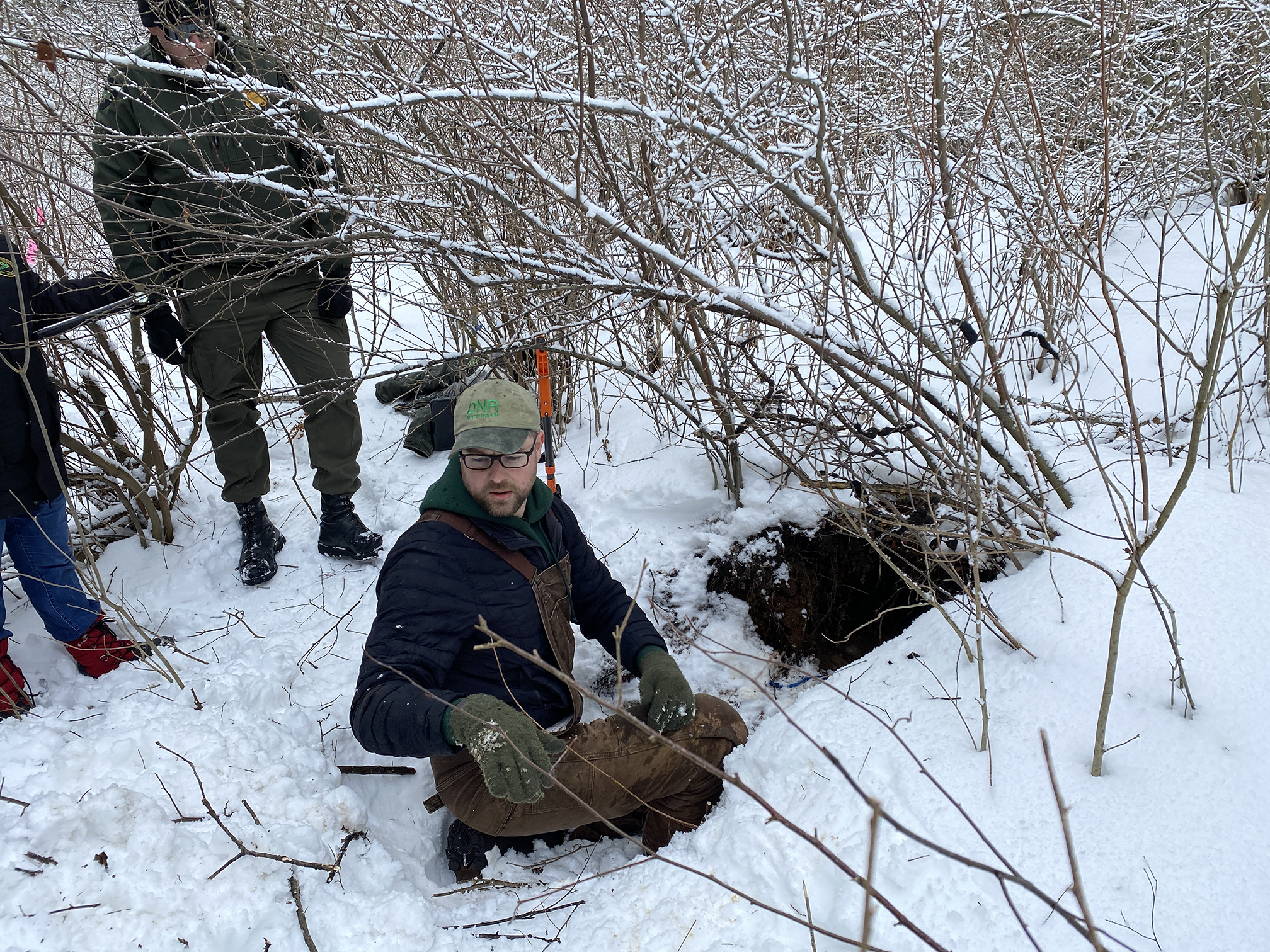 DNR: Keep an eye out for bear dens this winter & report them to us - Vimarsana News